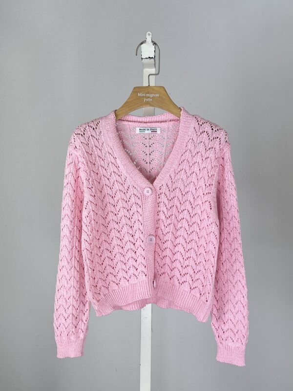 Mini Mignon PL257 ROSE – foto 2